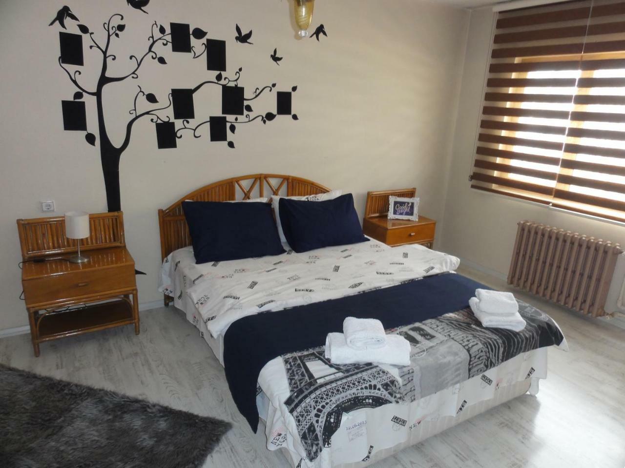 Evodak Daire Ankara